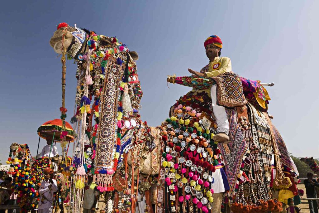 Lễ hội lạc đà bang Rajasthan Ấn Độ